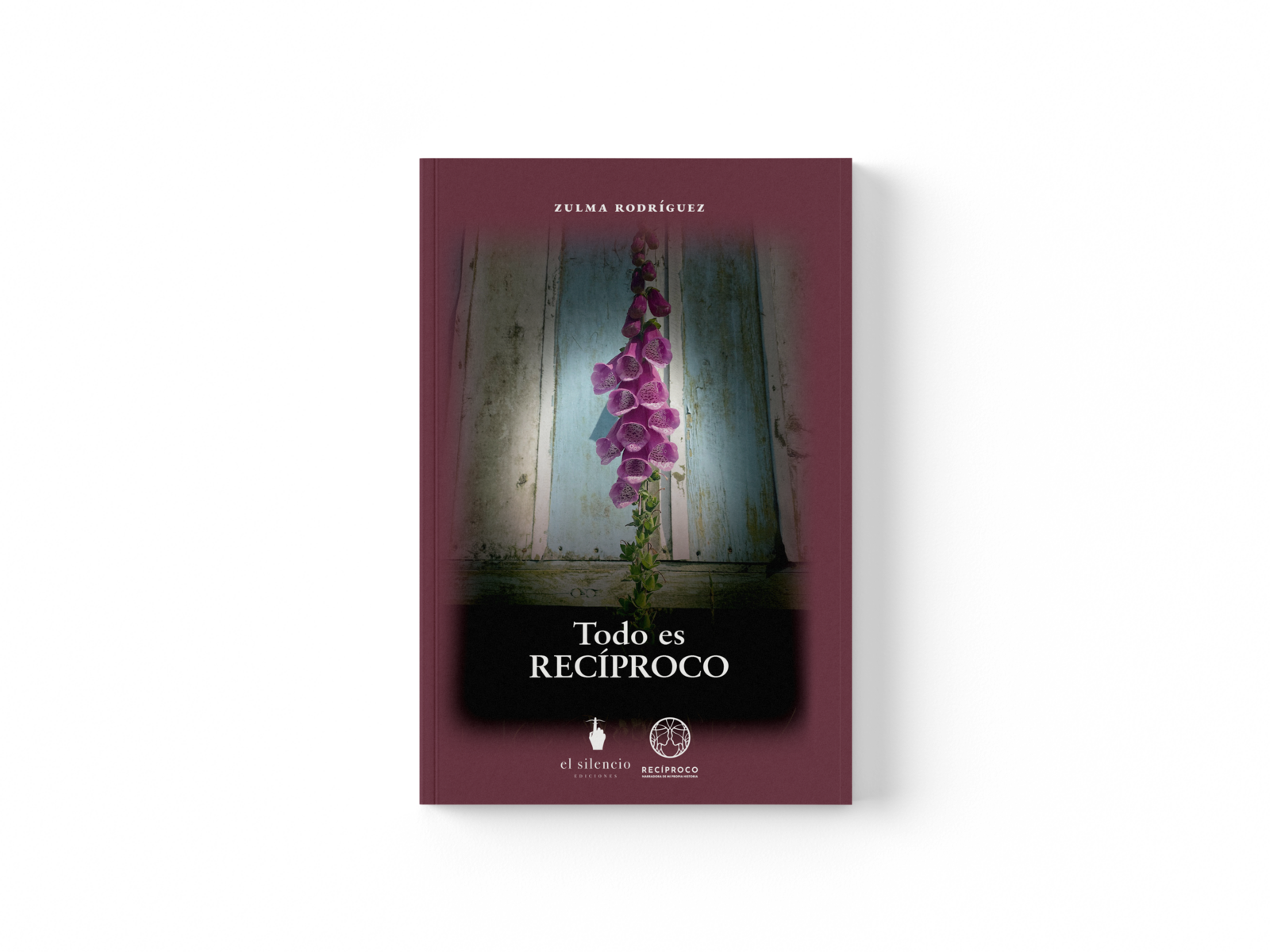 Mockup oficial de Todo es recíproco, de Zulma Rodríguez